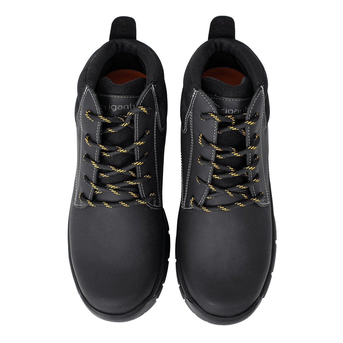 BORCEGO BISHOP NEGRO