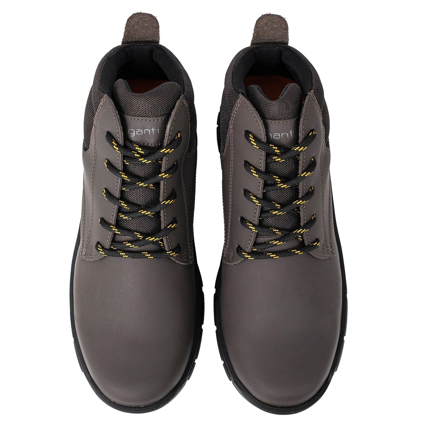 BORCEGO BISHOP MARRON